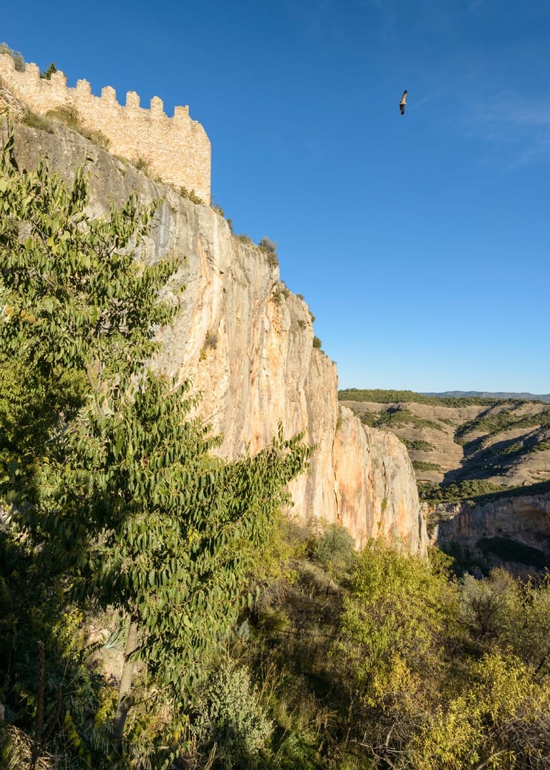 Alquezar_Viewpoints-6