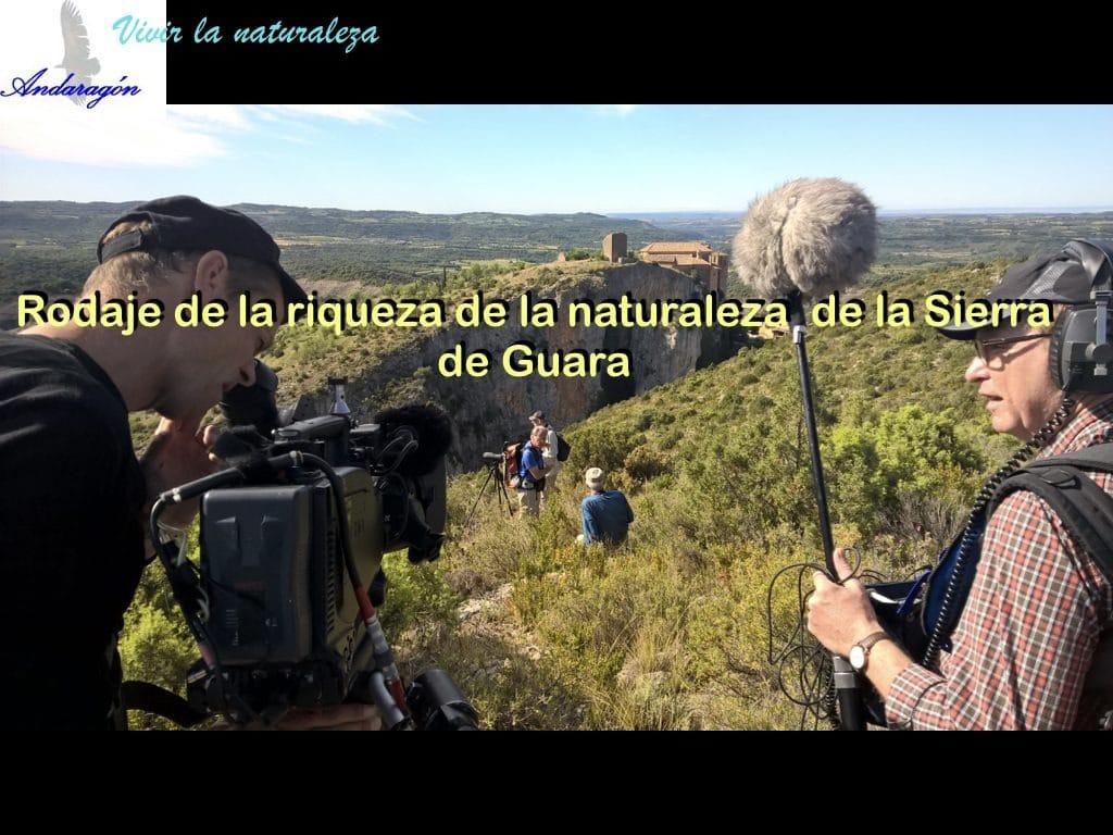 Andaragón Alquezar