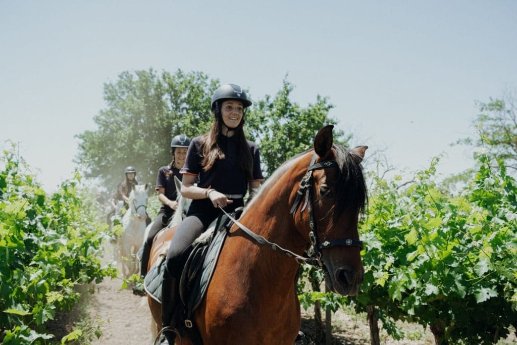 Hipica el Ventorrillo Barbastro