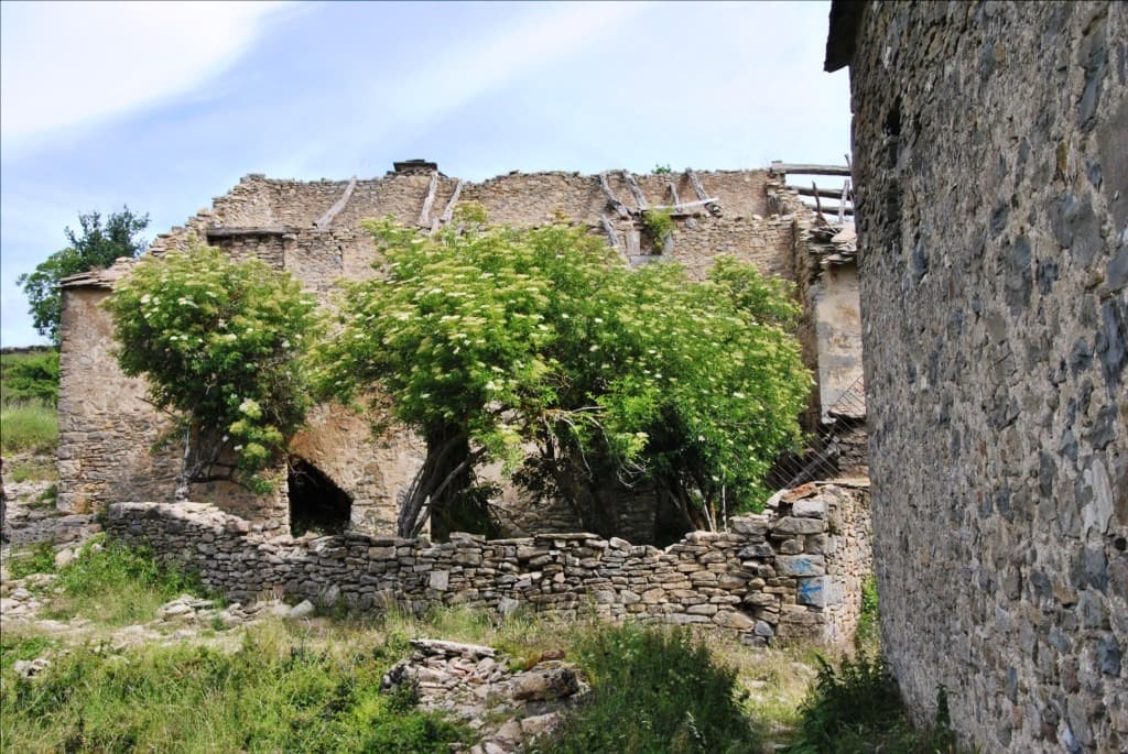Otin guara abandonada