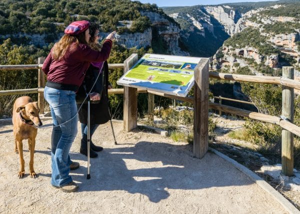 mirador-adaptado_caon-vero