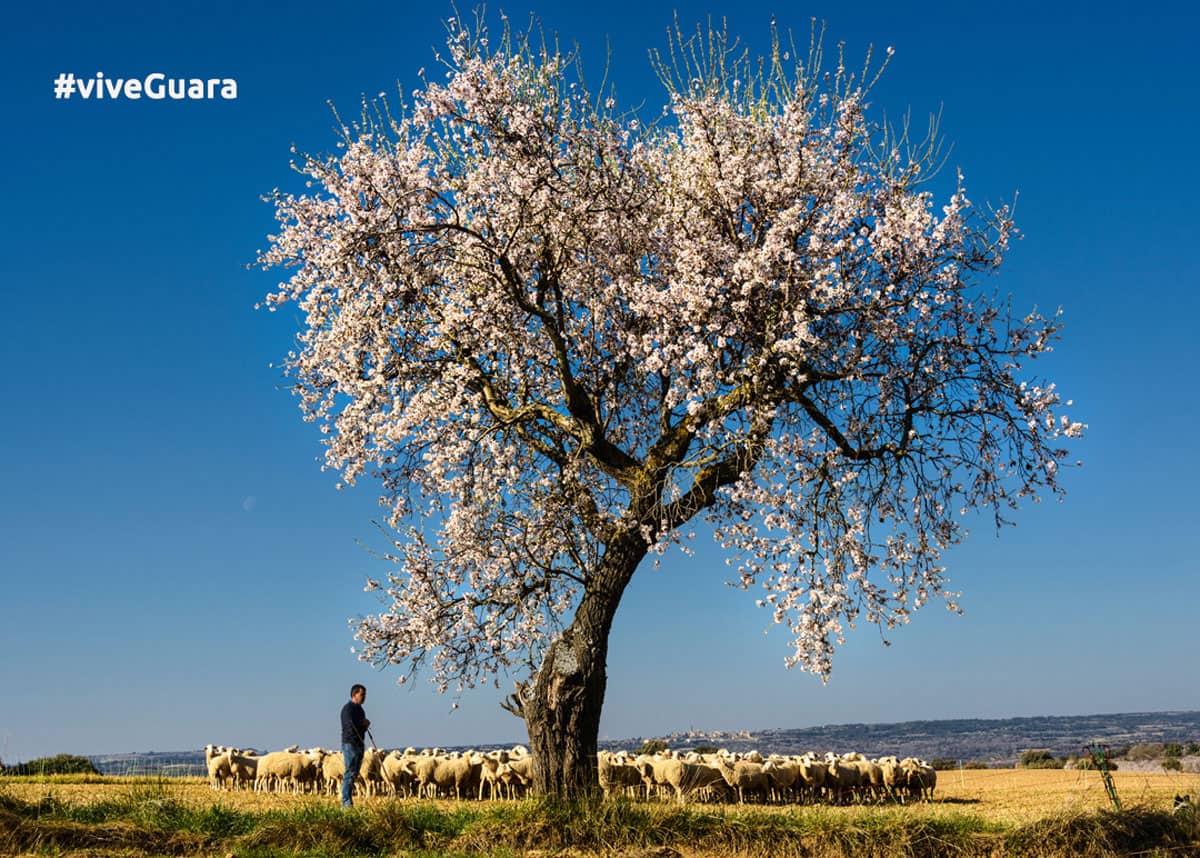 Sierra de Guara : air pur, nature, villages, paysages, Huesca, Aragon